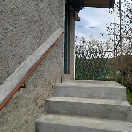 Apartamento Casa Vita Vallebona Exterior foto