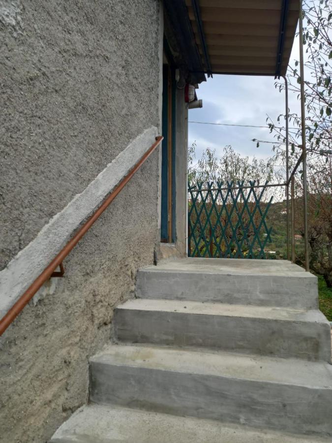 Apartamento Casa Vita Vallebona Exterior foto